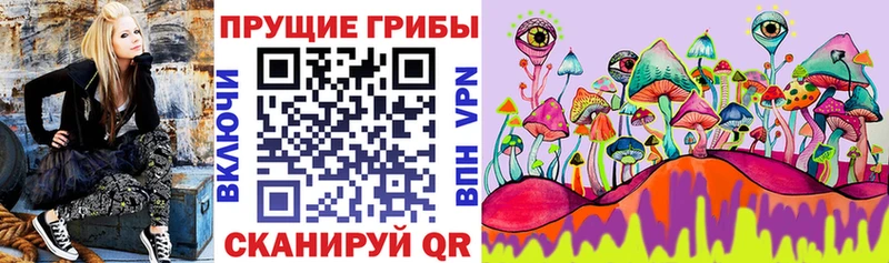 Галлюциногенные грибы Psilocybe blacksprut ТОР Югорск